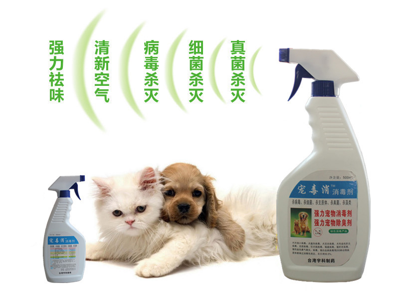 寵毒消 專業(yè)寵物消毒解決方案，守護(hù)愛(ài)寵健康環(huán)境